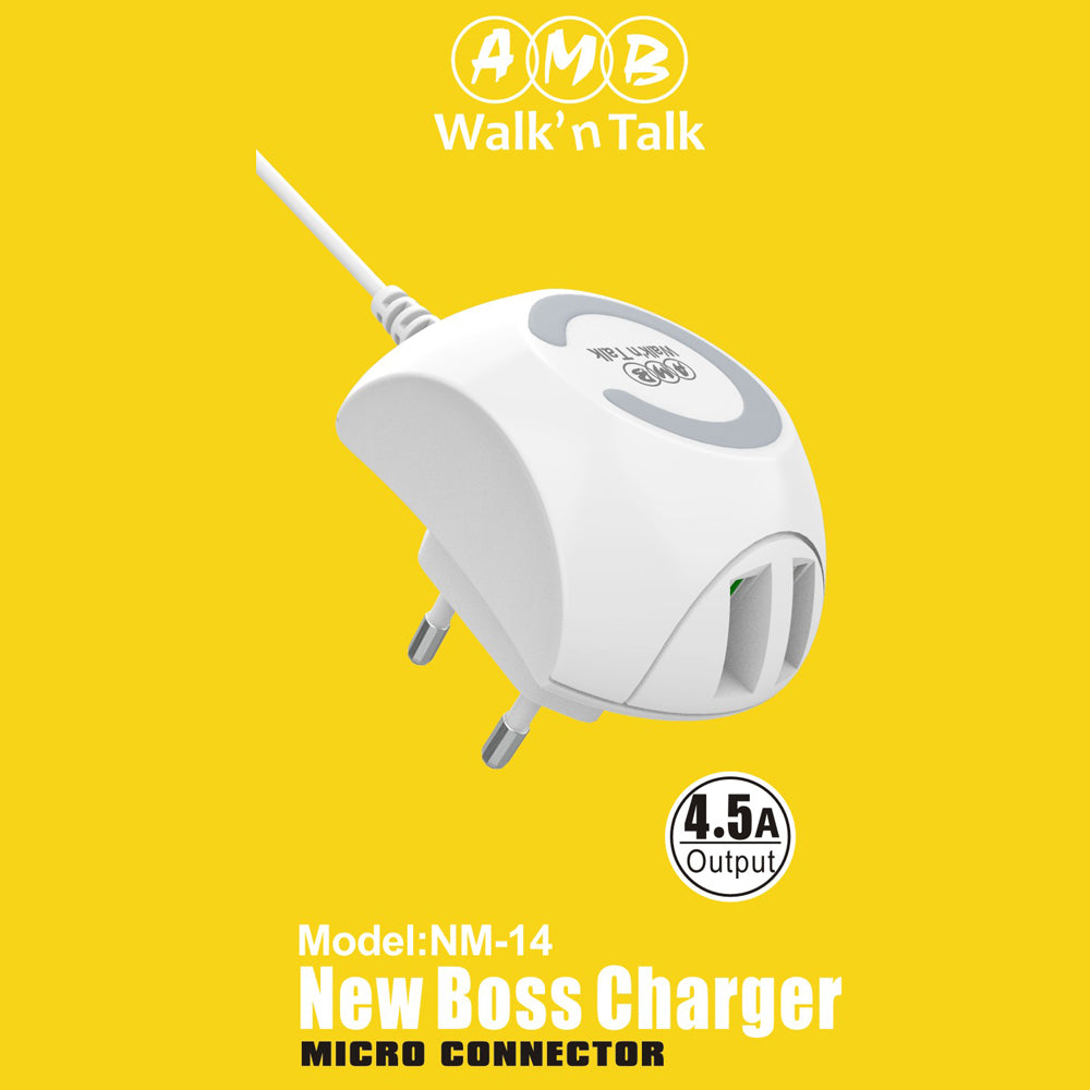 Fast Charger AMB 4.5A